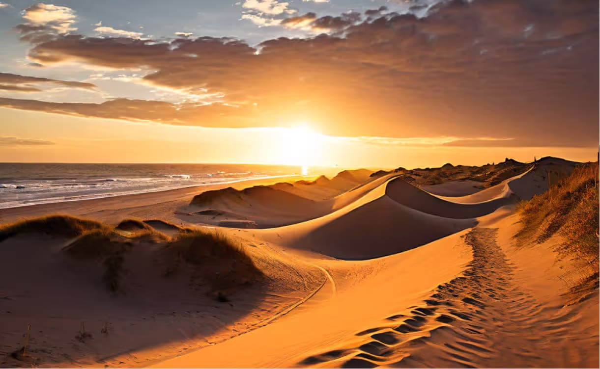 Sandboarding Down Coastal Dunes