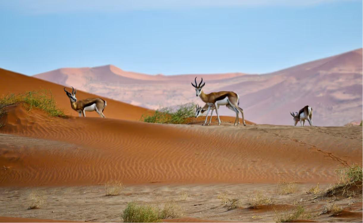 Namibia