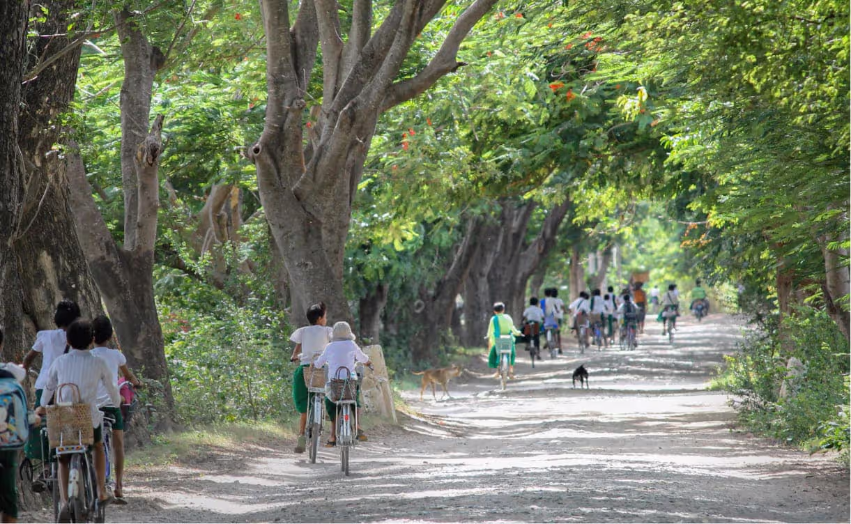 Cultural Chameleon Matters