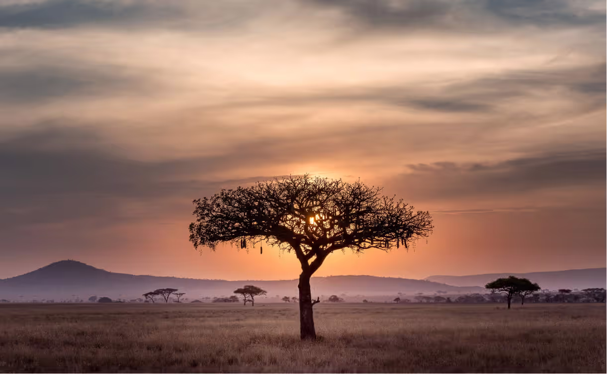 Destinations for Purposeful Travel